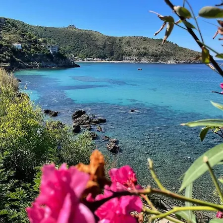 Oda ve Kahvaltı Flamengo